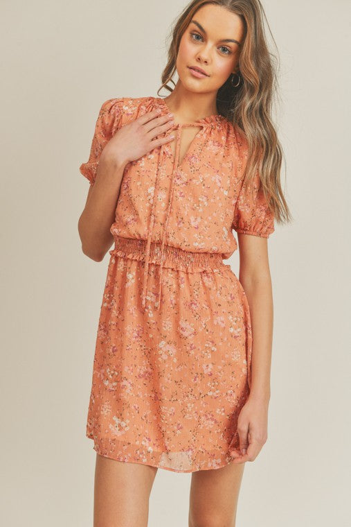 Swiss Dot Printed Chiffon Dress Apricot