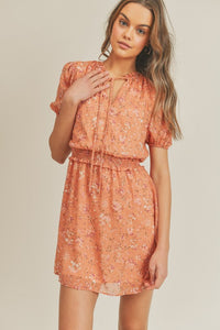 Swiss Dot Printed Chiffon Dress Apricot