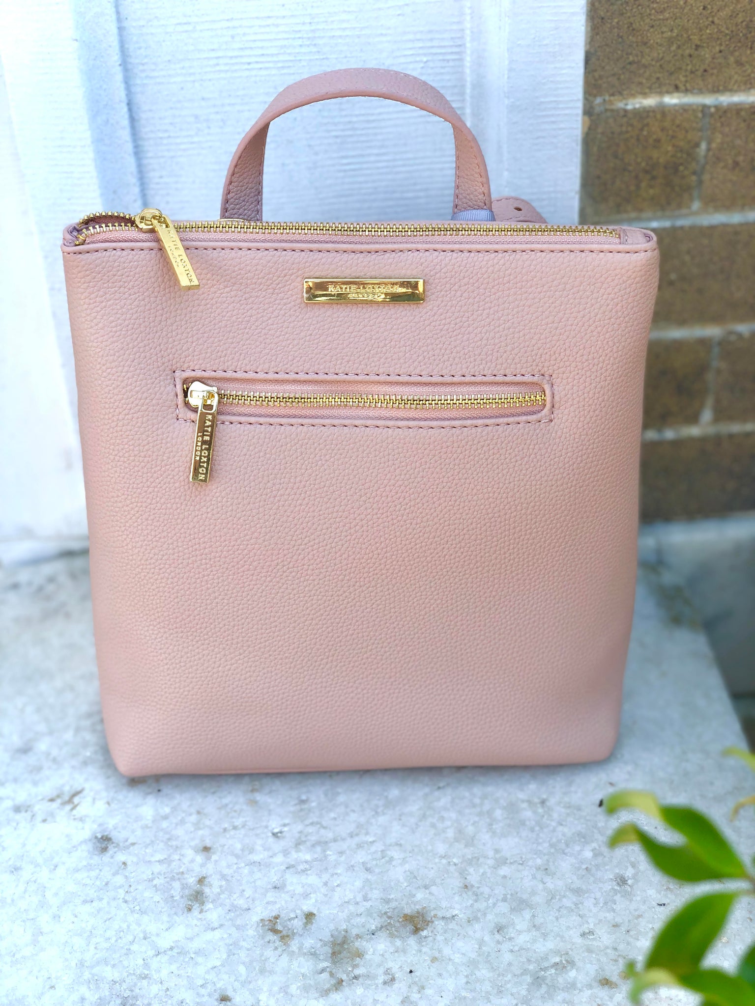 Mini Brooke Backpack Pink